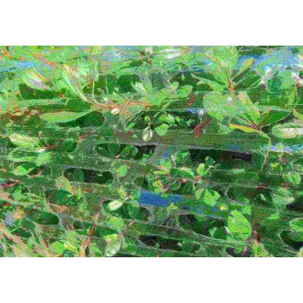 Film Air Flow Ex-Core 17"x1000', PK4